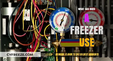 What Gas Does a Freezer Use? Exploring Refrigerant Types and Safety