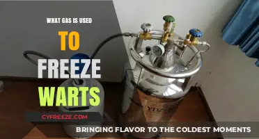 Cryotherapy for Warts: Understanding the Liquid Nitrogen Freezing Process