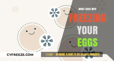 Preserving Fertility: A Comprehensive Guide to Egg Freezing