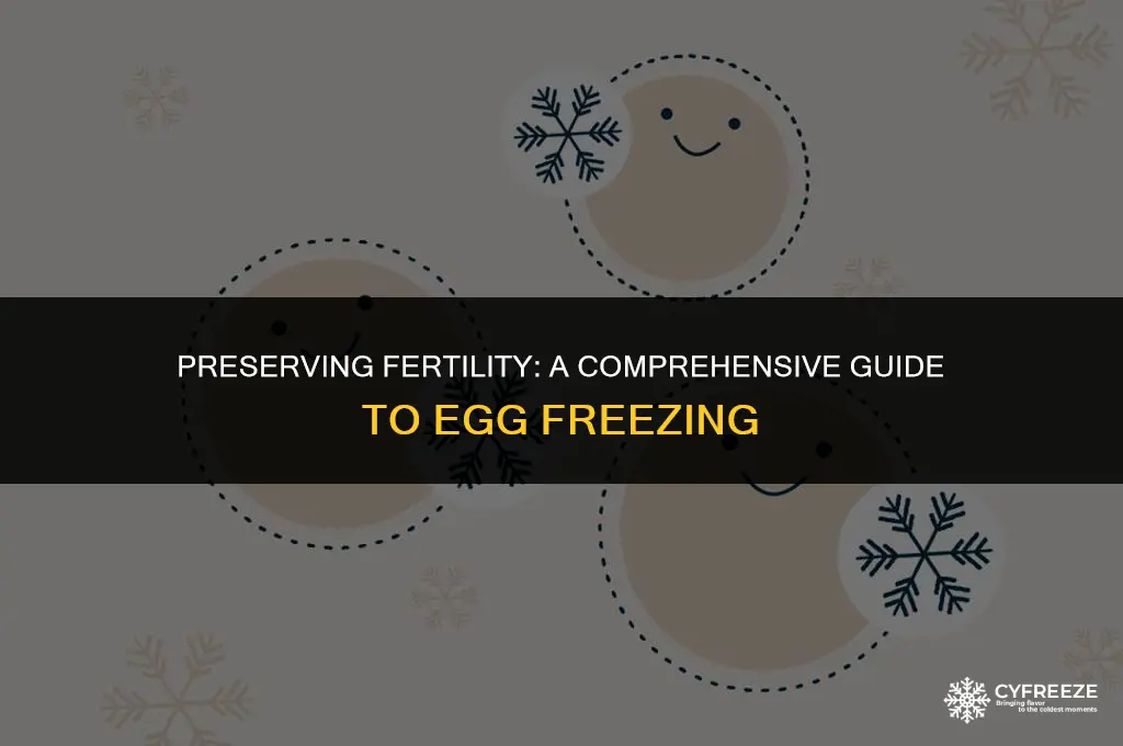 what goes into freezing your eggs