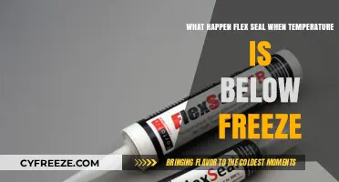 Flex Seal's Performance: How It Handles Below-Freezing Temperatures
