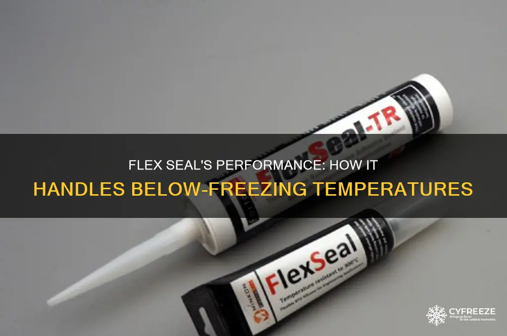 what happen flex seal when temperature is below freeze
