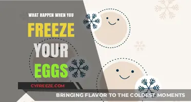 Preserving Fertility: The Science and Stories Behind Egg Freezing