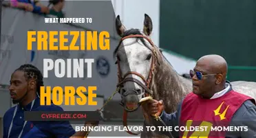 The Mysterious Disappearance of Freezing Point Horse: Unraveling the Truth