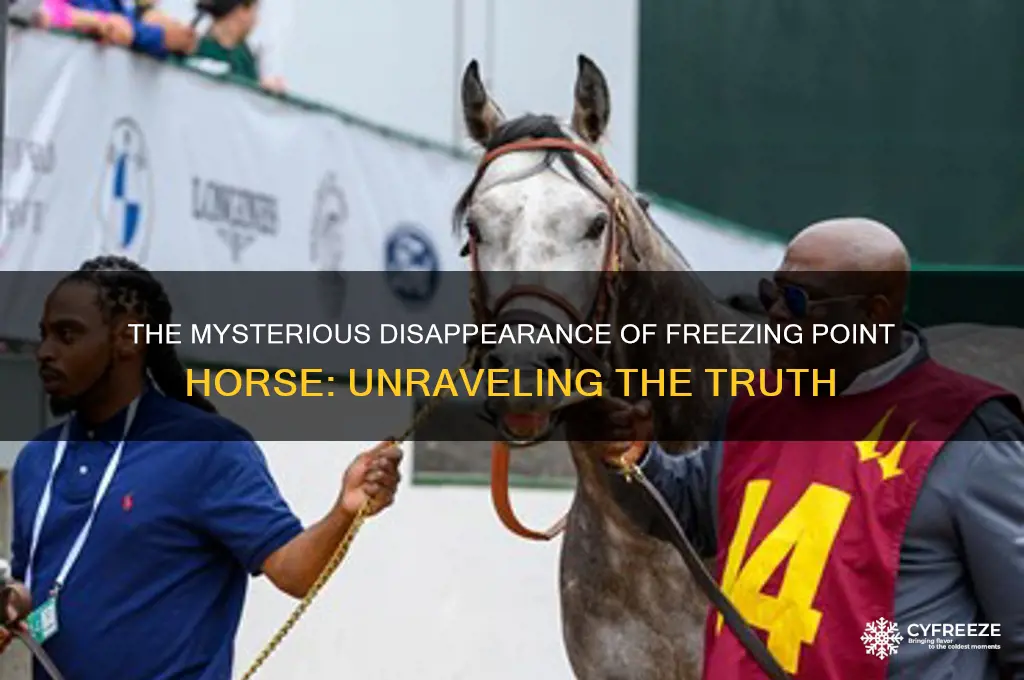 what happened to freezing point horse