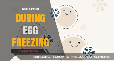 Preserving Fertility: A Comprehensive Guide to the Egg Freezing Process
