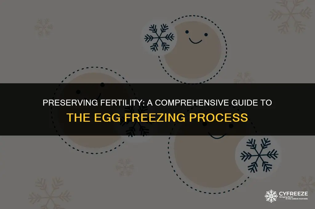 what happens during egg freezing