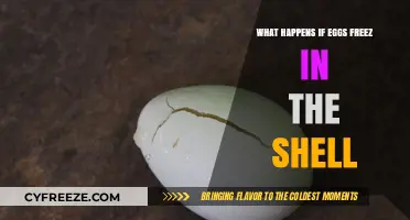 The Surprising Effects of Freezing Eggs in Their Shells