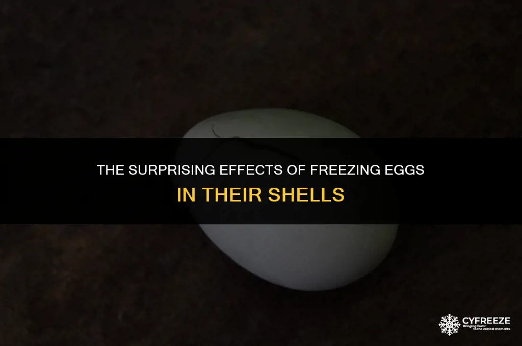 what happens if eggs freez in the shell