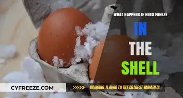 The Surprising Effects of Freezing Eggs in Their Shells