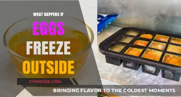 Chilly Surprise: The Unexpected Consequences of Frozen Eggs Outdoors