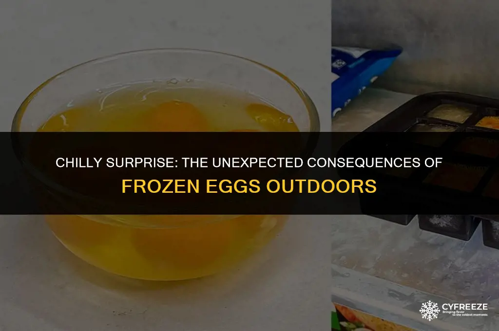 what happens if eggs freeze outside