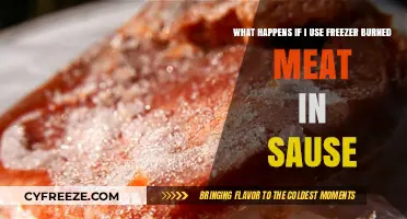 Freezer Burned Meat in Sauce: Risks, Flavor Impact, and Safety Tips