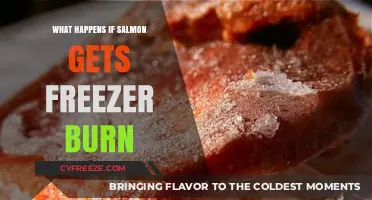 Freezer Burn on Salmon: Causes, Effects, and Prevention Tips