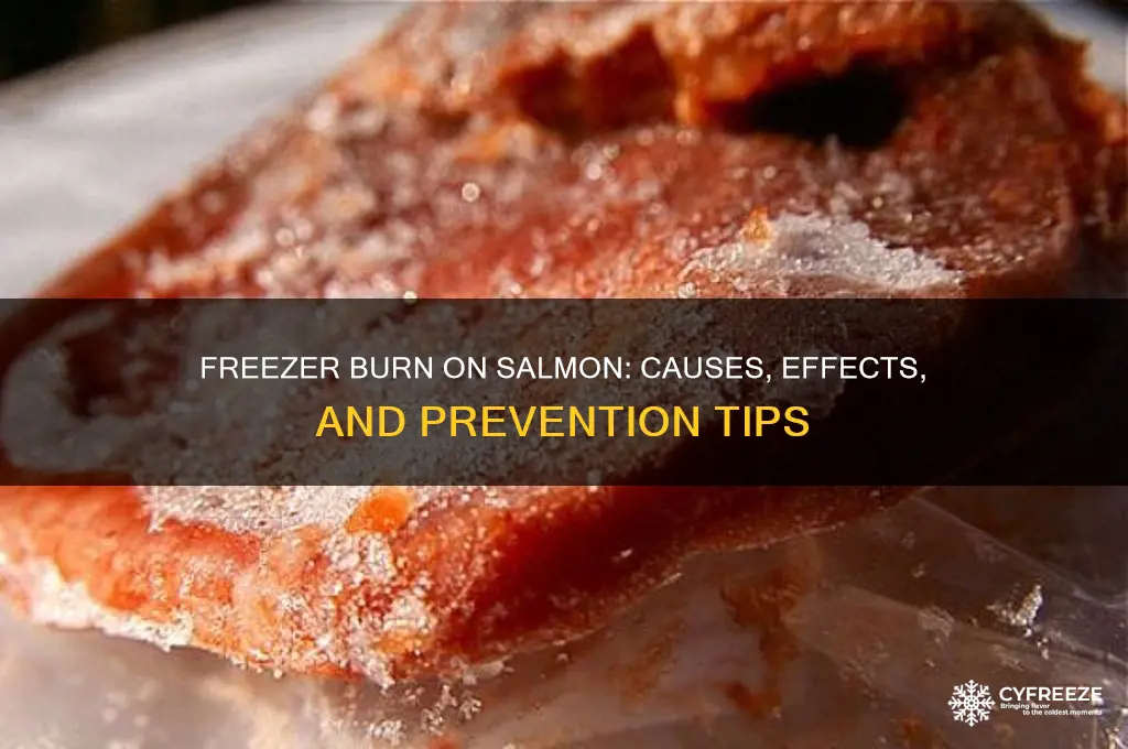 what happens if salmon gets freezer burn