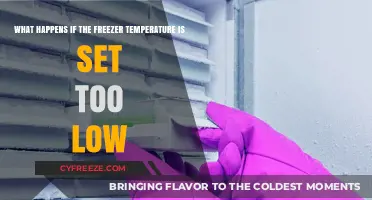 Freezer Temperature Too Low: Risks, Energy Waste, and Food Safety Concerns