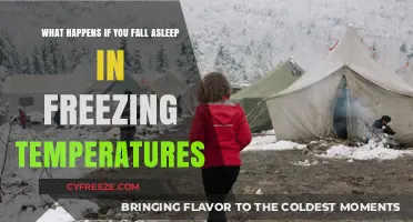Freezing Sleep: Risks and Survival Tips for Cold Weather Naps