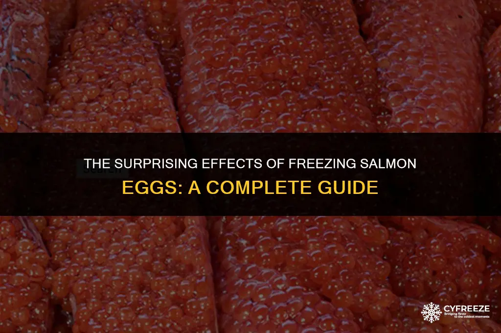 what happens if you freeze salmon eggs