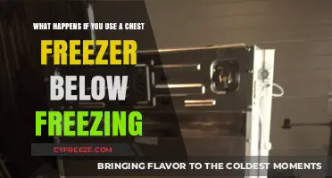 Using a Chest Freezer Below Freezing: Risks and Consequences Explained