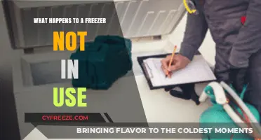 Unused Freezer Maintenance: Preventing Issues When Your Appliance is Idle