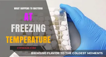 Freezing Temperatures: How Cold Affects Bacterial Survival and Activity