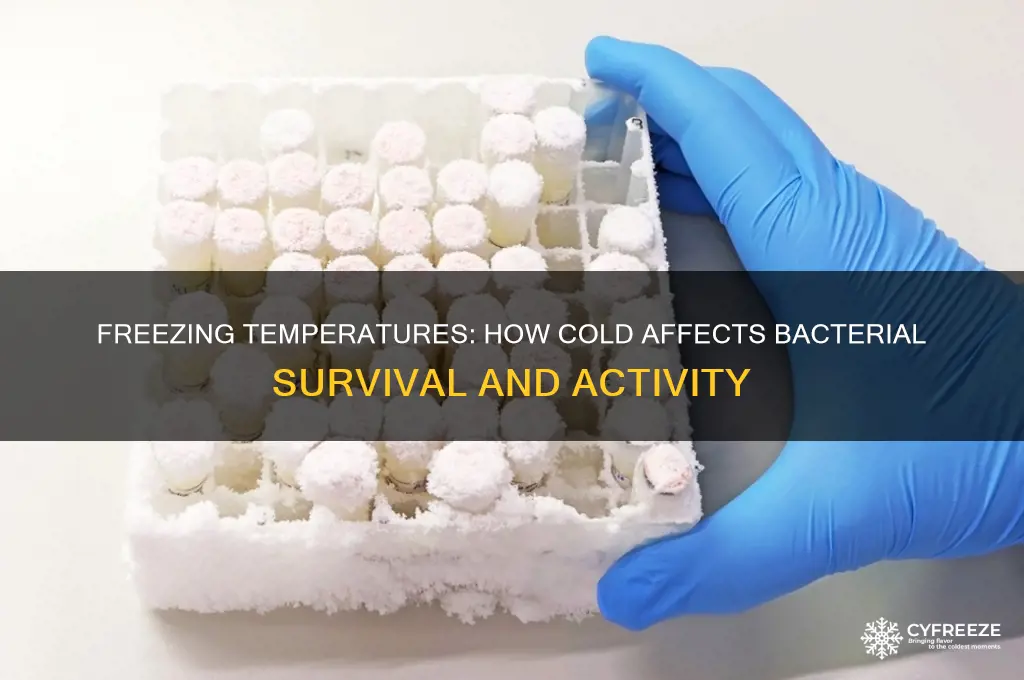 what happens to bacteria at freezing temperature