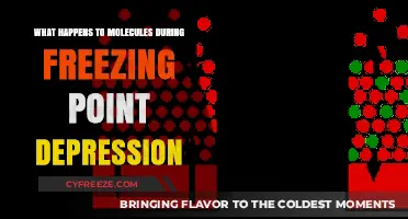 How Freezing Point Depression Alters Molecular Behavior in Solutions