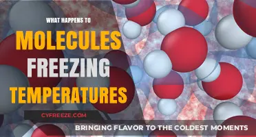 Molecular Behavior: Unveiling the Science Behind Freezing Temperatures