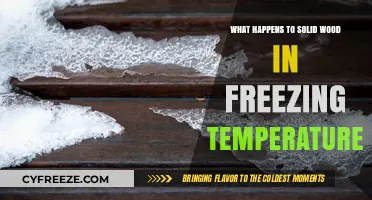 Freezing Temperatures and Solid Wood: Effects, Risks, and Preservation Tips