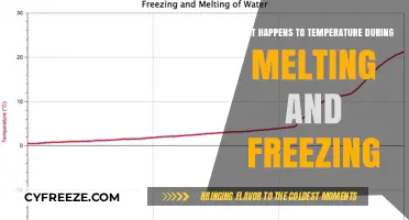 Temperature Changes During Melting and Freezing: A Detailed Exploration