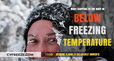 Freezing Effects: How Extreme Cold Impacts the Human Body