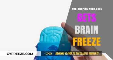 Brain Freeze in Dogs: Causes, Symptoms, and Quick Relief Tips