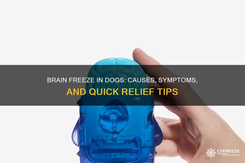 what happens when a dog gets brain freeze