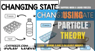 Particle Theory Explains: How Liquids Transform into Solids During Freezing