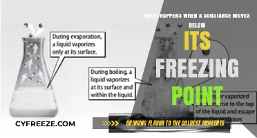Below Freezing: How Substances Transform When Temperatures Drop