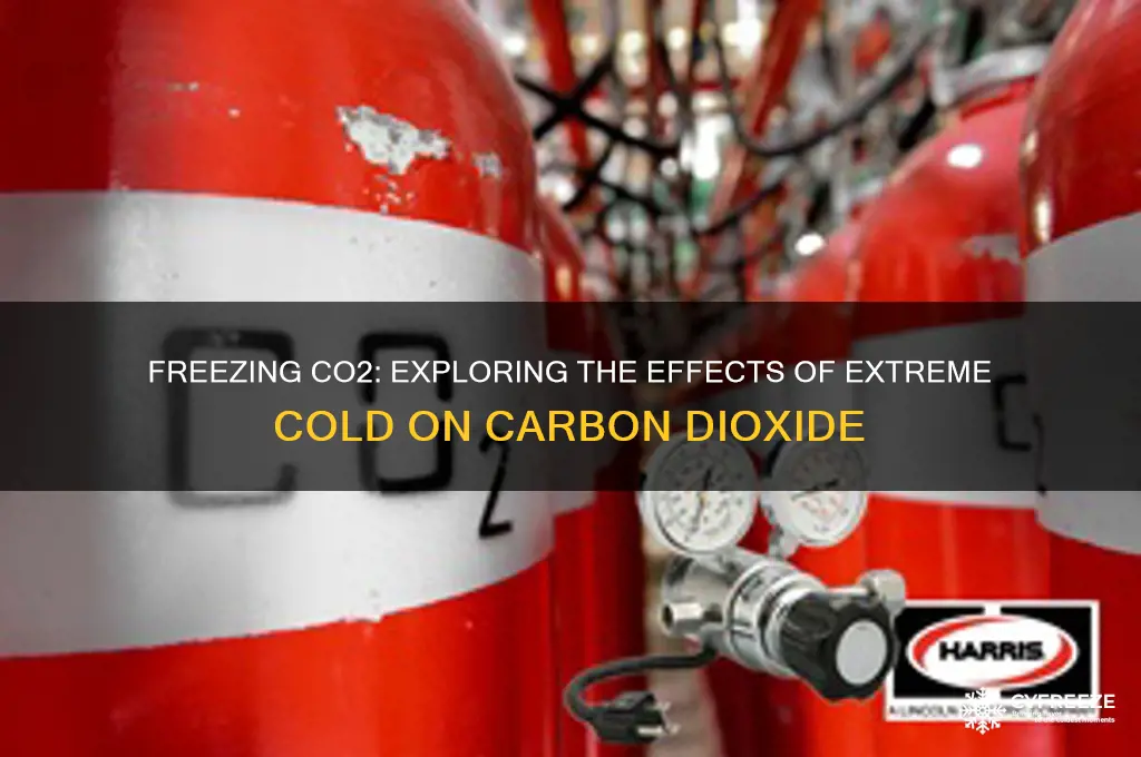 what happens when co2 gas is exposed to freezing temperatures