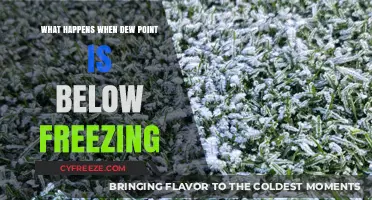 Below Freezing Dew Points: Understanding Frost Formation and Winter Weather