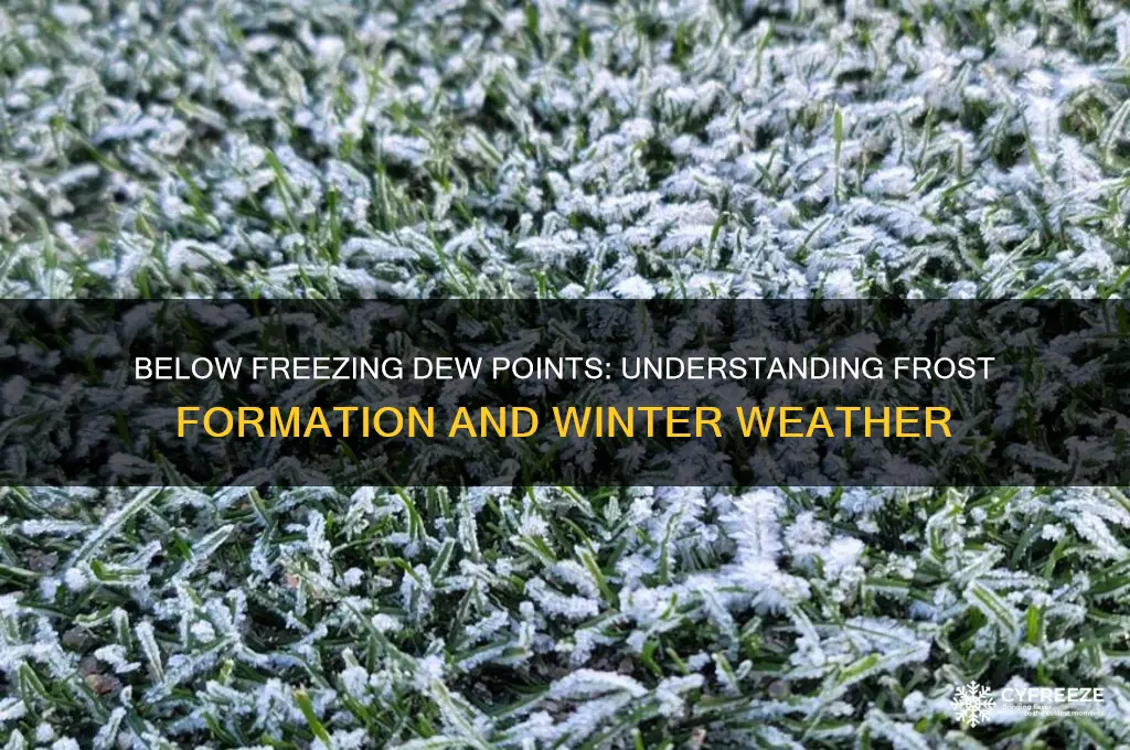 what happens when dew point is below freezing