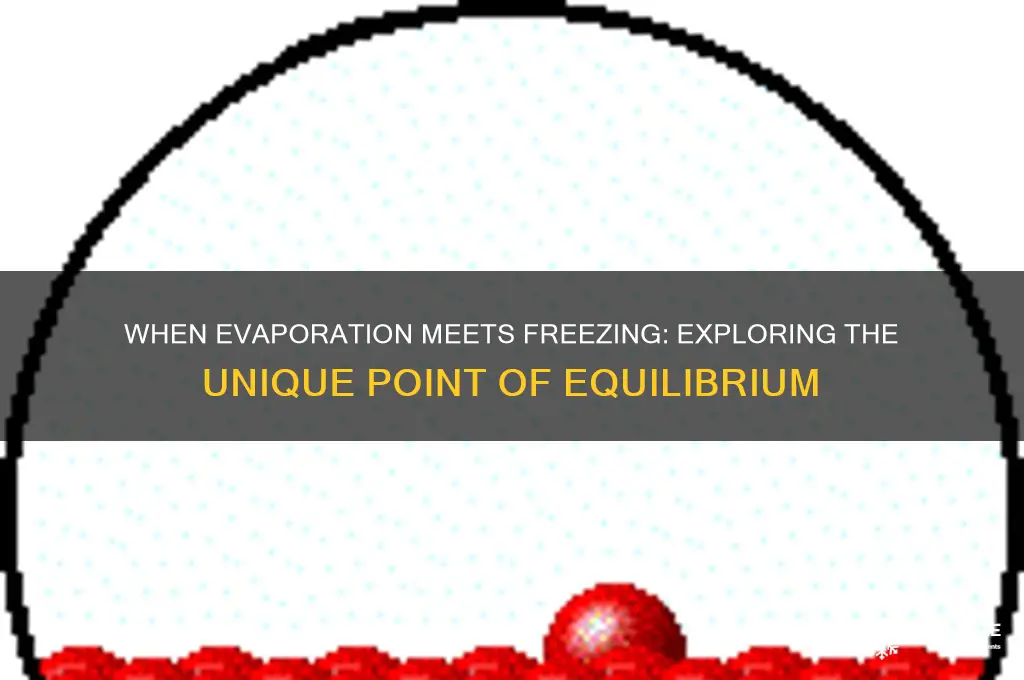 what happens when evaporation and freezing points are the same