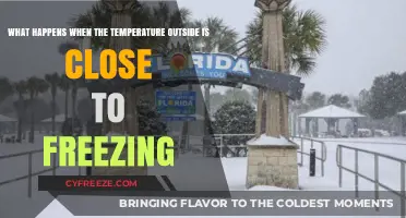 Near-Freezing Temperatures: Impacts on Nature, Safety, and Daily Life
