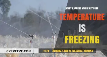 Freezing Wet Bulb Temperatures: Impacts on Weather and Climate Systems