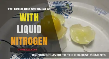 The Astonishing Effects of Freezing Eggs with Liquid Nitrogen
