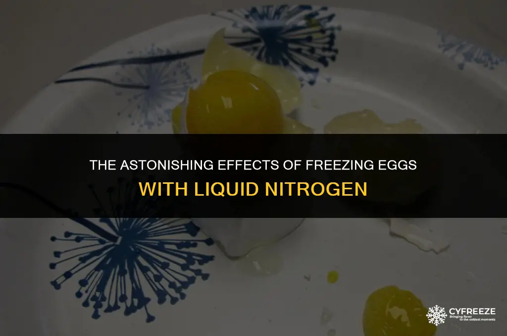 what happens when you freeze an egg with liquid nitrogen