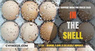 Freezing Eggs in the Shell: Surprising Effects and Best Practices