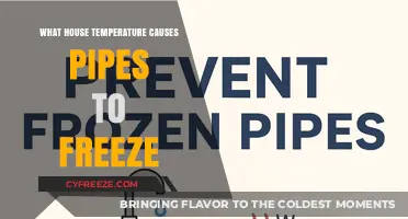 Preventing Frozen Pipes: Ideal House Temperature to Avoid Winter Damage