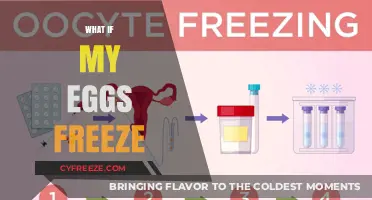 Egg Freezing Concerns: What If My Eggs Freeze?
