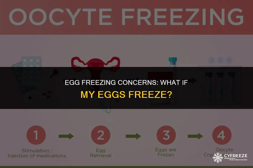 what if my eggs freeze