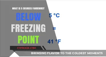 Understanding the Chill: 5 Degrees Fahrenheit Below Freezing Explained