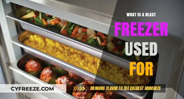 Blast Freezer Uses: Rapid Freezing for Food Preservation and Quality
