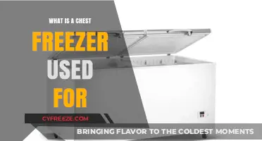 Chest Freezer Uses: Efficient Storage Solutions for Food and More